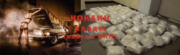 PSILOCYBIN Армянск