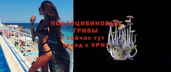 дмт Аркадак