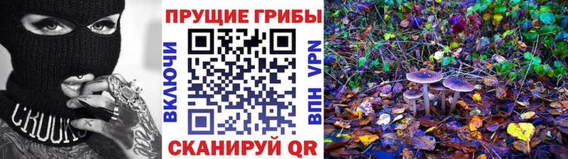 Псилоцибиновые грибы мухоморы  продажа наркотиков  Приморск 